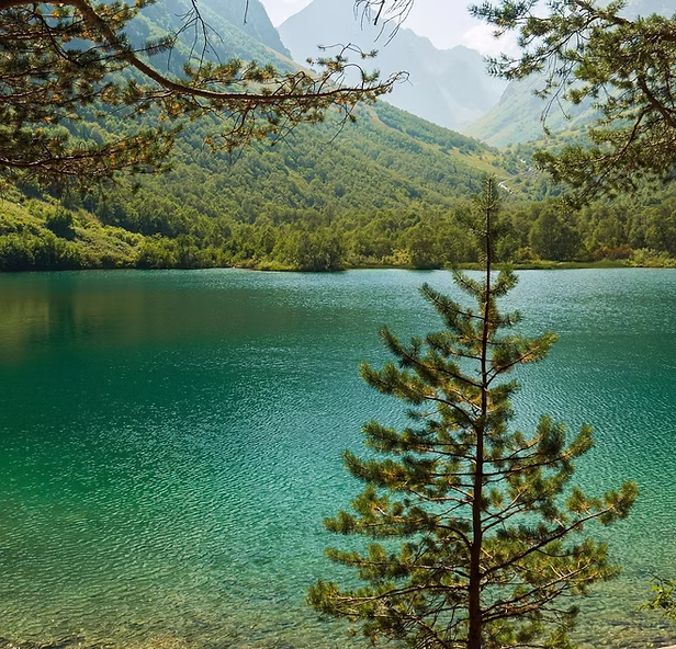 Photo d’un lac paisible entouré de verdure pour illustrer le premier échange thérapeutique