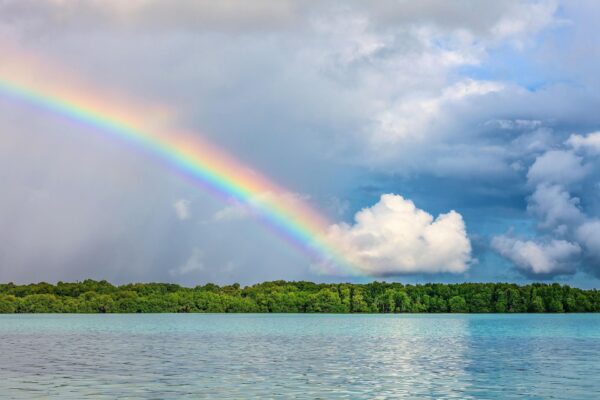 Arc‑en‑ciel au‑dessus de la mer et d’une étendue de verdure, symbole de sérénité, de renouveau et d’un chemin intérieur plus clair