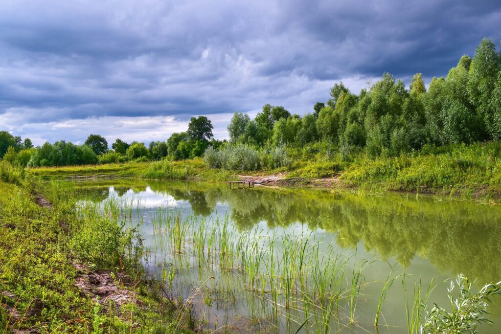 Étang bordé de verdure sous un ciel nuageux, reflet des arbres dans l’eau tranquille