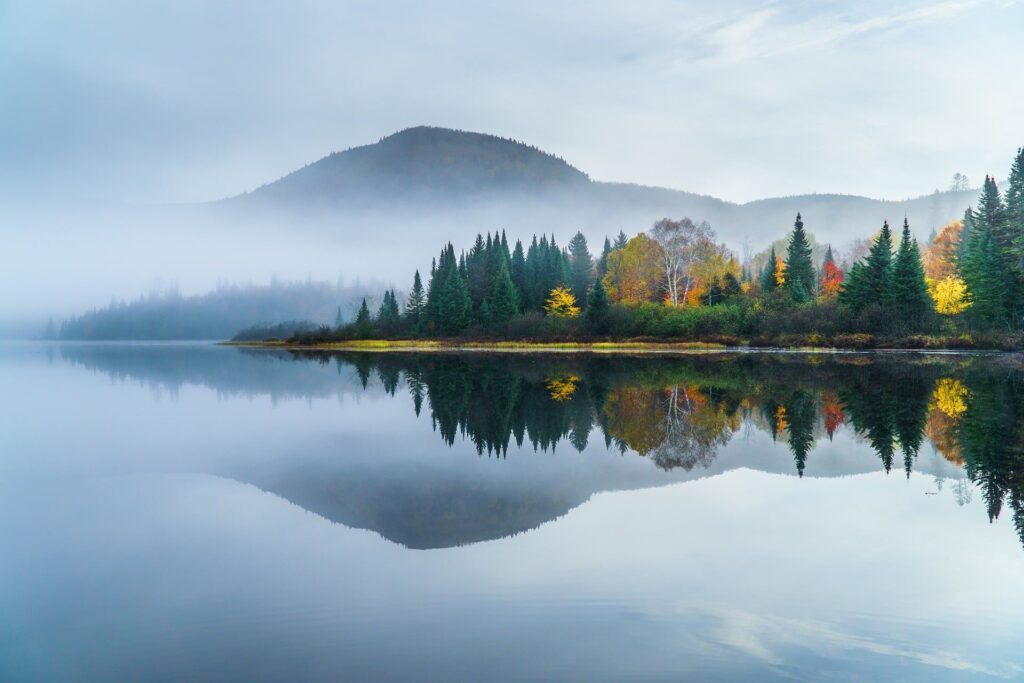 Lac paisible entouré de forêt et de brume, évoquant la lenteur du quotidien et le retour à soi.