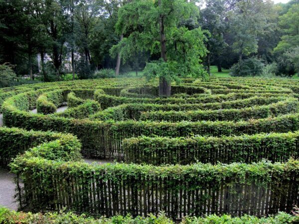 Image illustrant la section « Les schémas répétitifs », labyrinthe végétal symbolisant les répétitions inconscientes et les chemins qui se rejouent dans la vie.